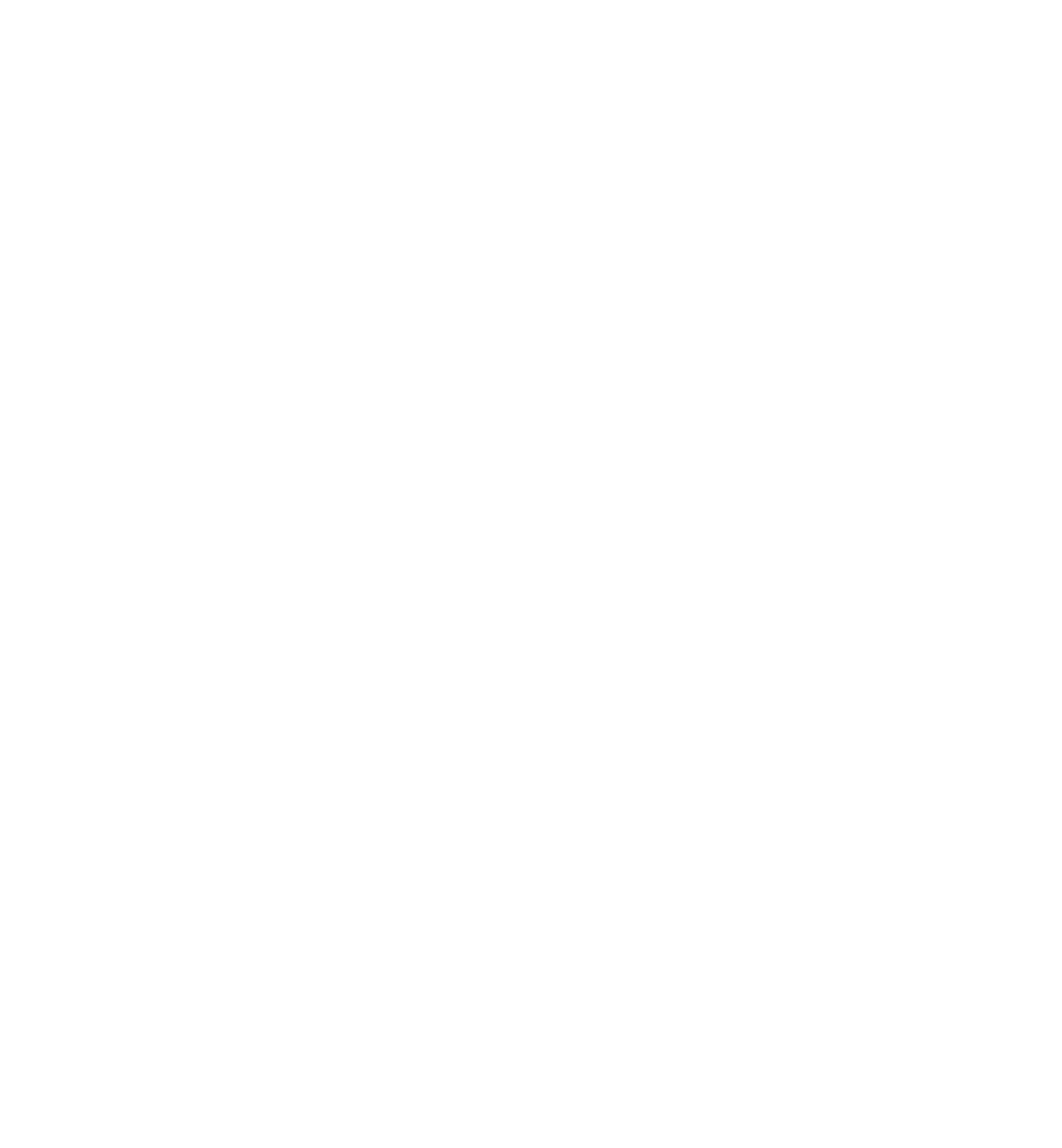 logo_étoile_blanche (1)